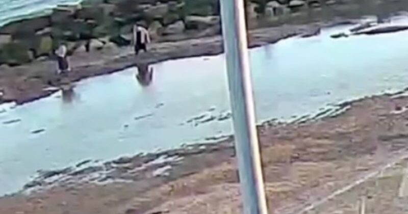 Heróis salvam mãe e filha que afundavam na areia e não conseguiam sair