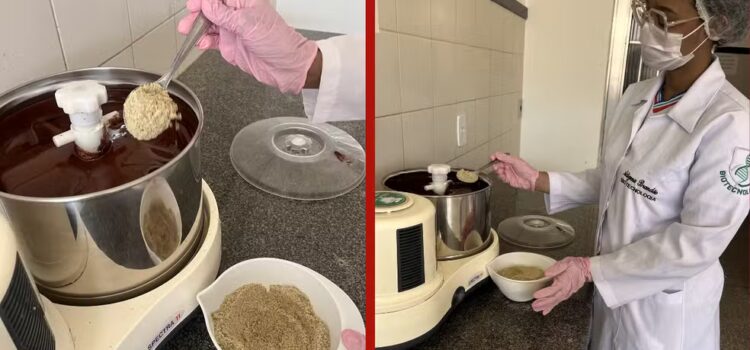 Conheça o ‘ChocoMed’, chocolate para pessoas com diabetes desenvolvido por estudantes baianos