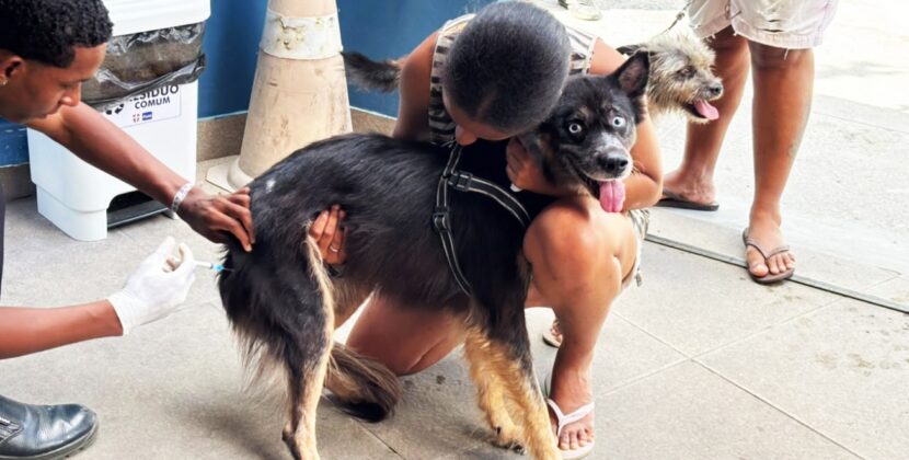 Primeiro sábado de mobilização contra a raiva protege 5.717 cães e gatos em Feira de Santana