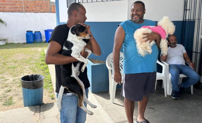 Feira de Santana promove mais um sábado de vacinação contra a raiva em cães e gatos