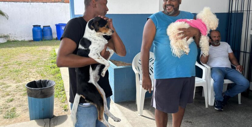 Feira de Santana promove mais um sábado de vacinação contra a raiva em cães e gatos
