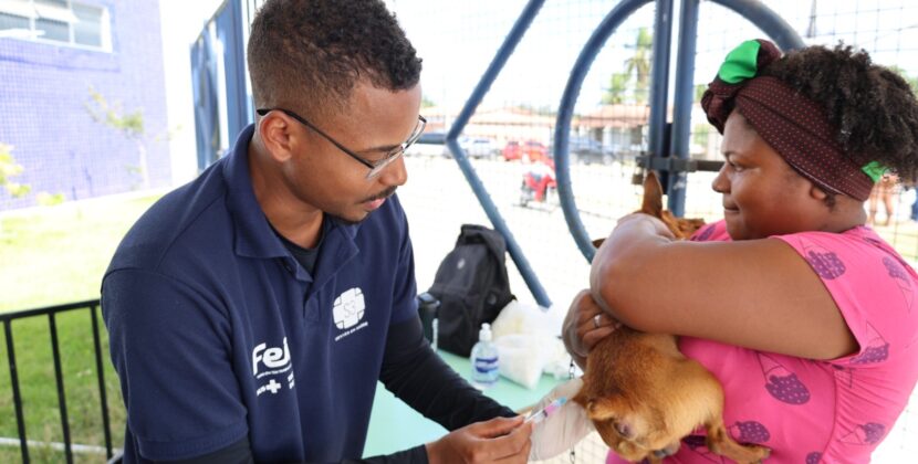 Feira em Ação leva serviços e amplia acesso à saúde no distrito de Jaíba